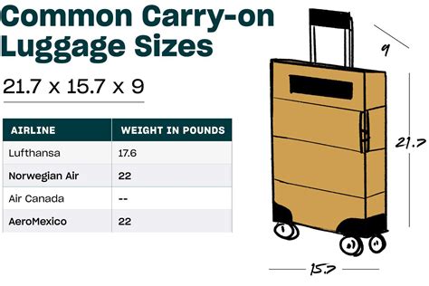 best international carry on luggage 2024.